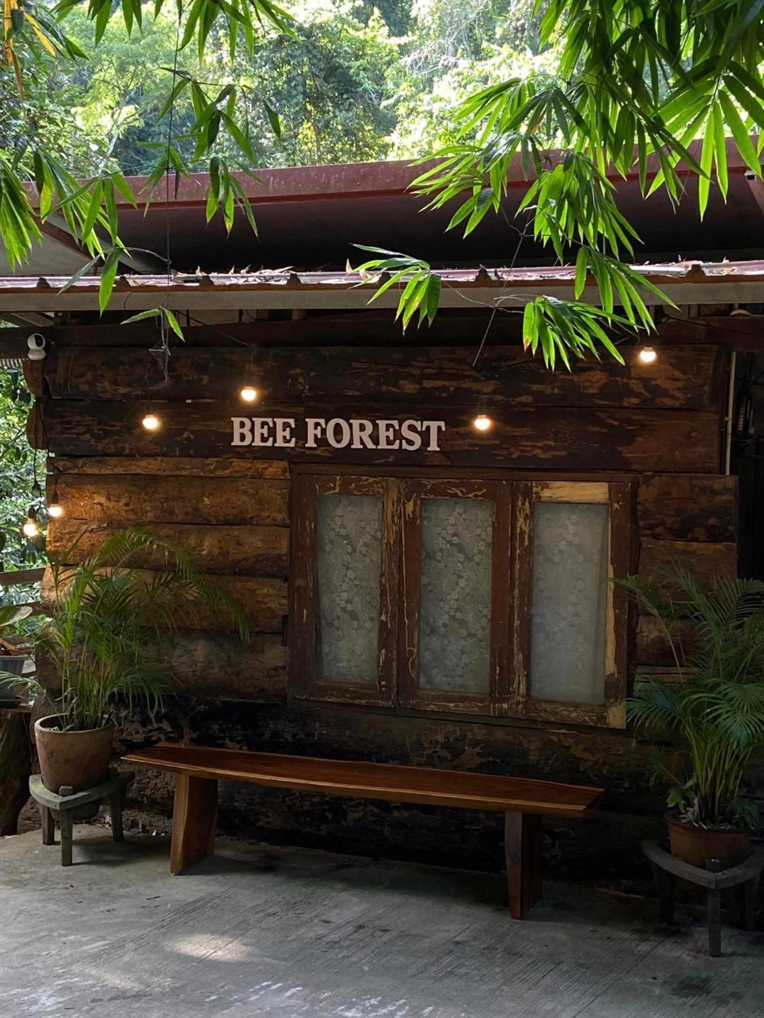 Bee Forest Banpoknaj Kültér fotó